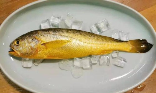 鱼石脂消肿效果如何-鱼石脂治疗麦粒肿效果网 - 网站提供鱼石脂软膏治疗麦粒肿么小常识、鱼石脂可以治疗麦粒肿吗